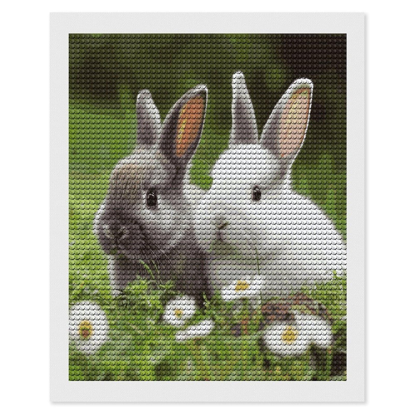LDGSUPH Two Little Cute Rabbits Diamond Painting Kits for Adults Paint with Diamond Pictures Art DIY Full Drill Diamond Dots Painting Personalized Diamond Photo for Home Wall Decor Gift 16"x20"