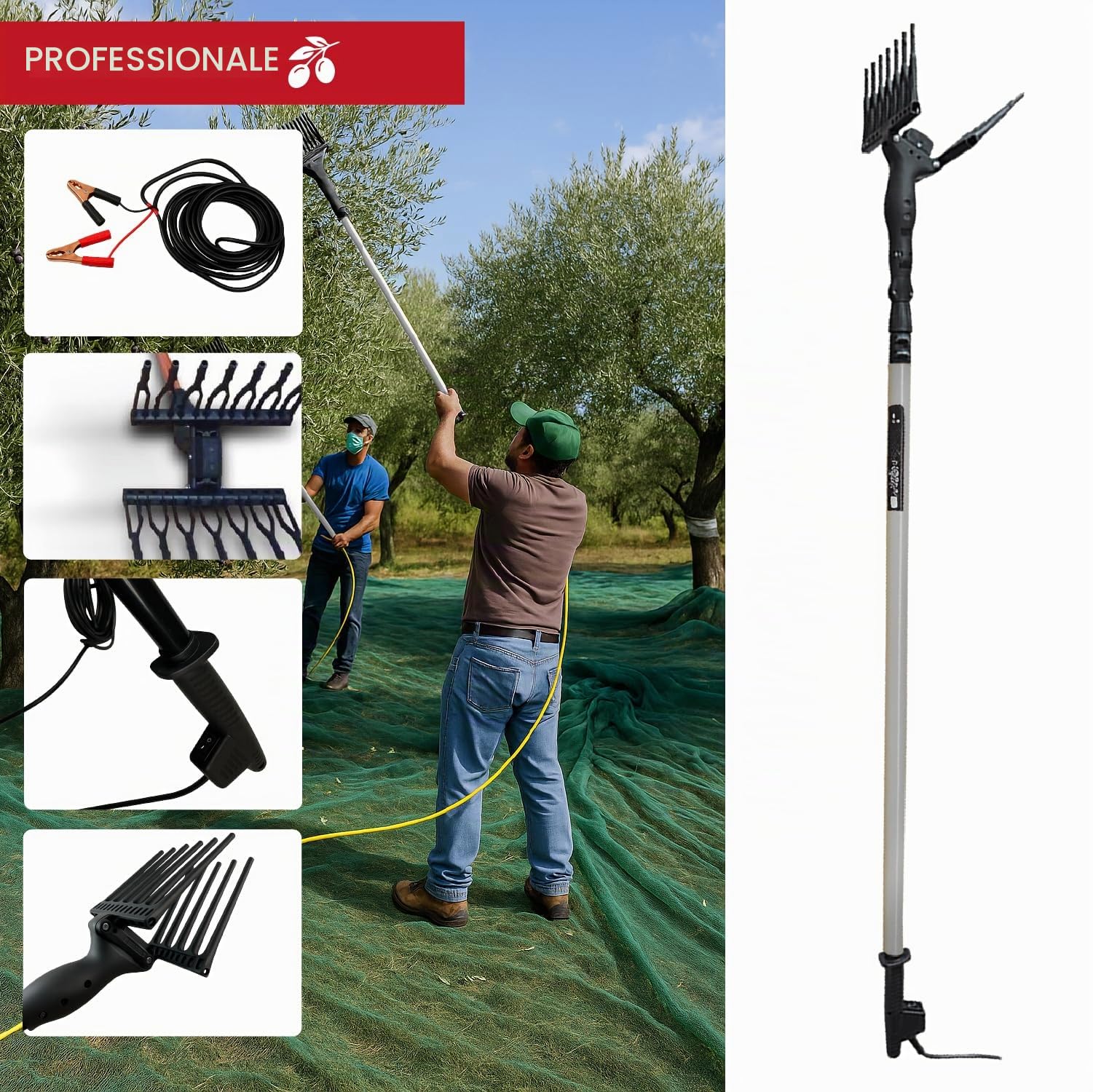 Crisalide® Abbacchiatore Elettrico Olive 140W con Asta Telescopica in Alluminio 210-295 cm, Cavo 15 m, Motore 12V, Raccolta 80 kg/h, Raccogli Olive Professionale, Pettini in Teconopolimero