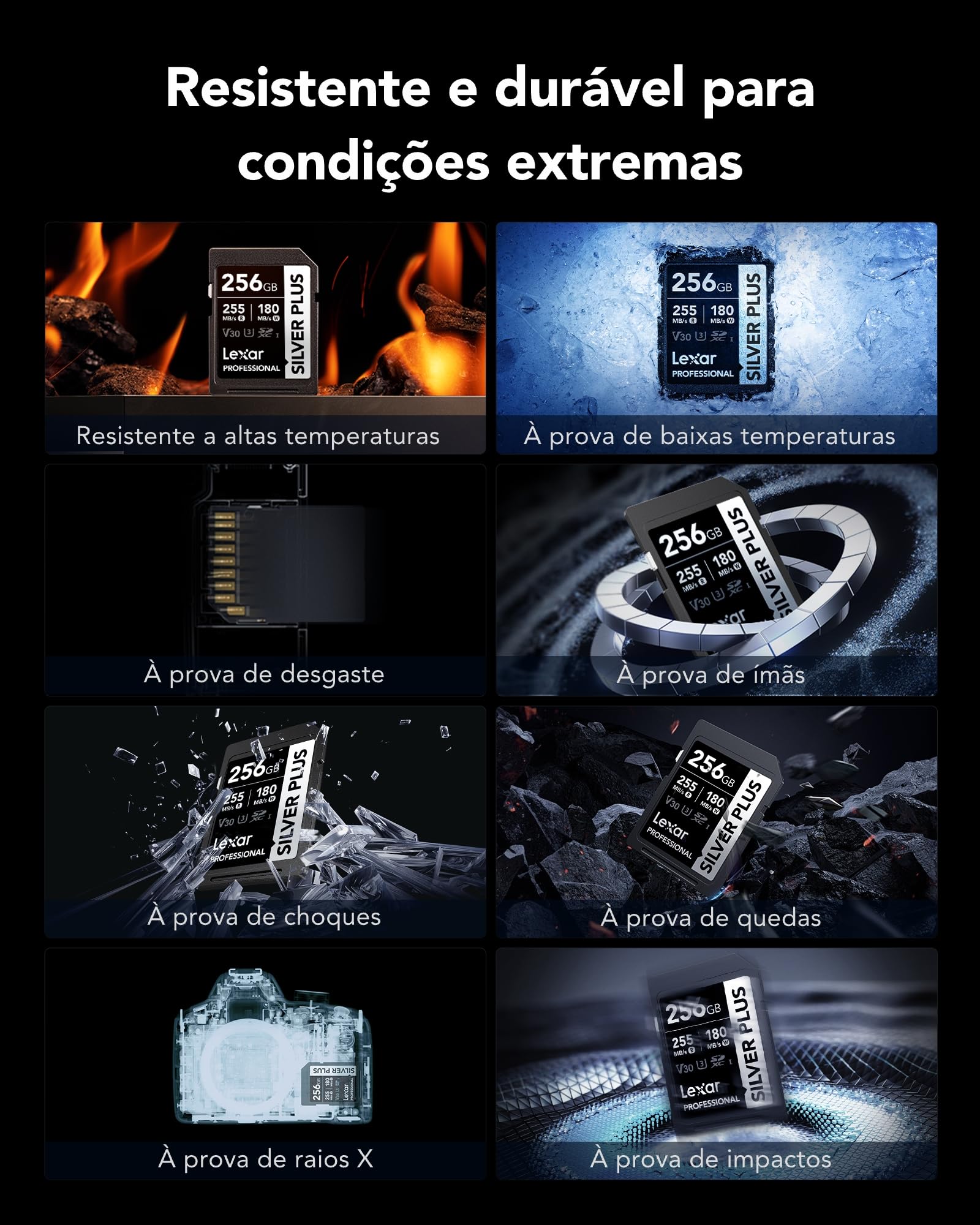 Lexar Scheda di memoria professionale Silver Plus SDXC UHS-I da 256 GB