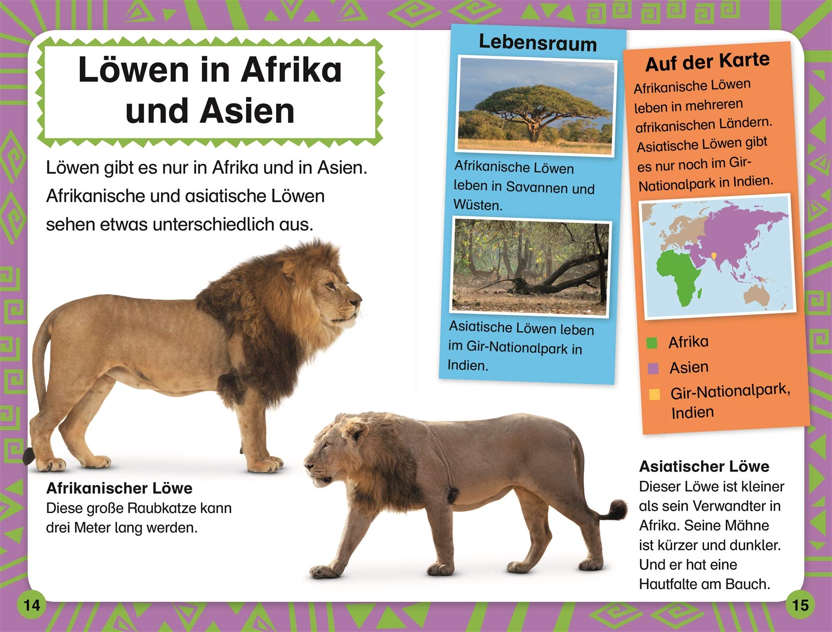 SUPERLESER! Löwen-Abenteuer: 1. Lesestufe Sach-Geschichten für Leseanfänger
