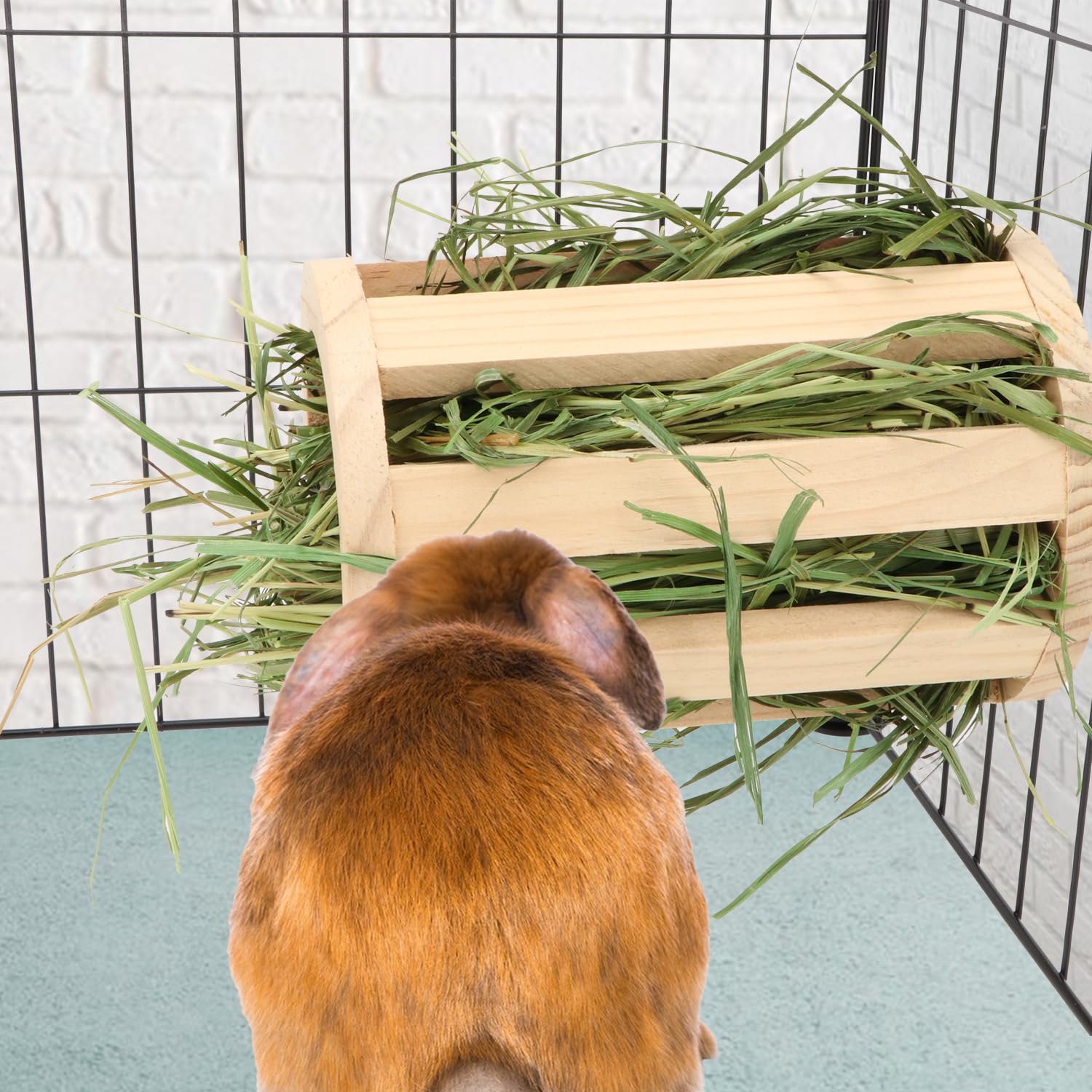Rabbit Hay Feeder Rack Wooden Food Manger Grass Holder for Small Pets Bunny Chinchilla Guinea Pigs - image 4