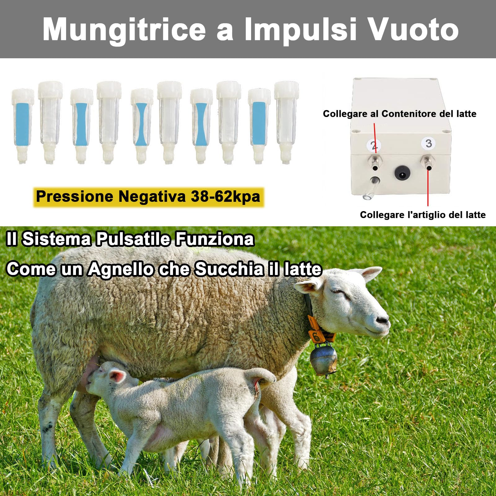 Mucca Pecora Mungitrice, Mungitrice Elettrica Portatile Mungitrice a Impulsi Mungitrice Kit per Capra Domestica Fattoria Domesti con Mungitrice in acciaio Inossidabile(14L, per Capra)