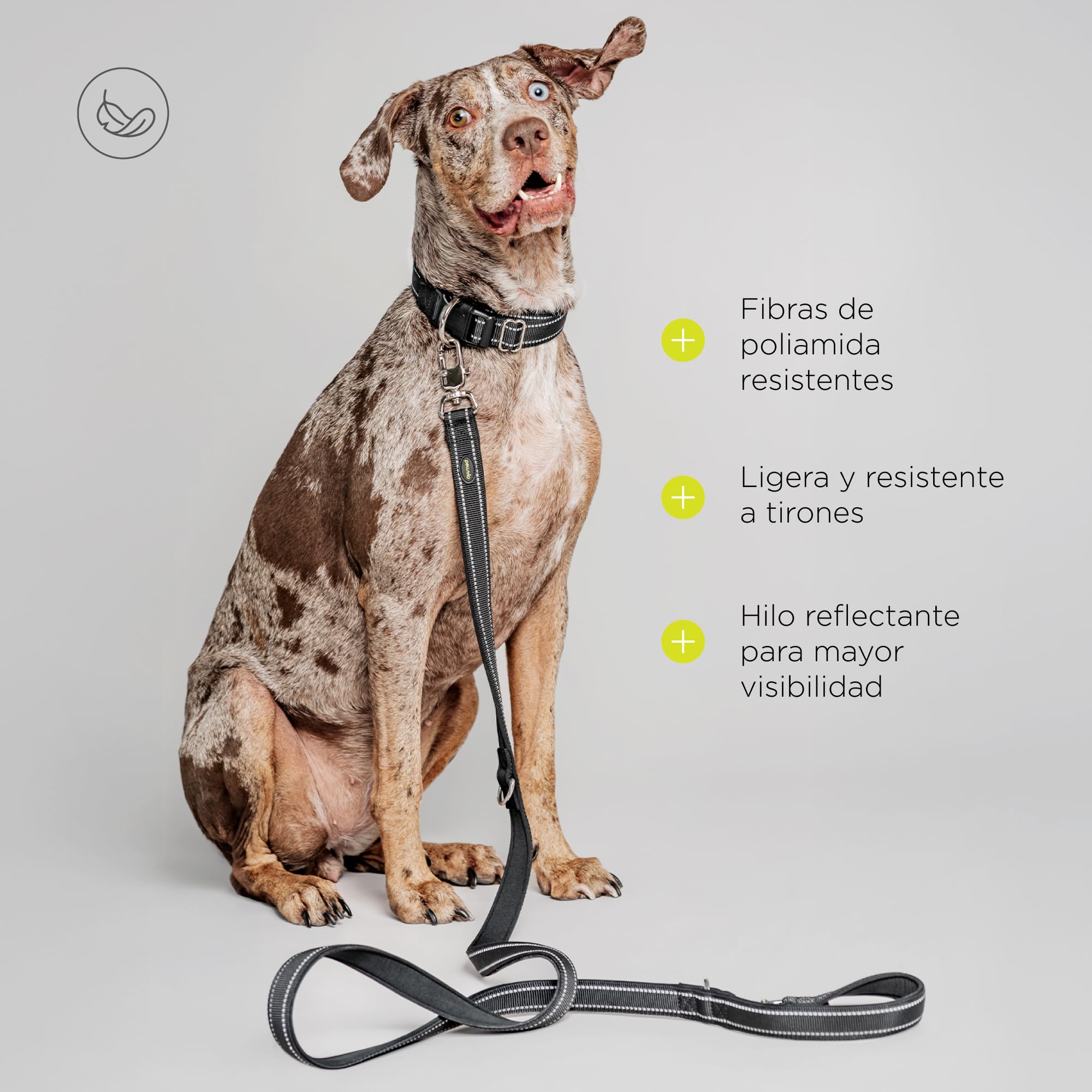 Amigo Correa para Perro 2,2 M, para Perros Grandes y Muy Grandes, Ajustable Reflectante de Nylon, Mosquetón Sólido y Herrajes Metálicos, Ligera, Secado Rápido, Resistente a Humedad y UV