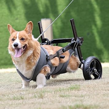 Folding and Adjustable Two-Wheel Pet Pram, Wheelchair for Dogs, Rear Limb of Pet Rehabilitation, Grey, M