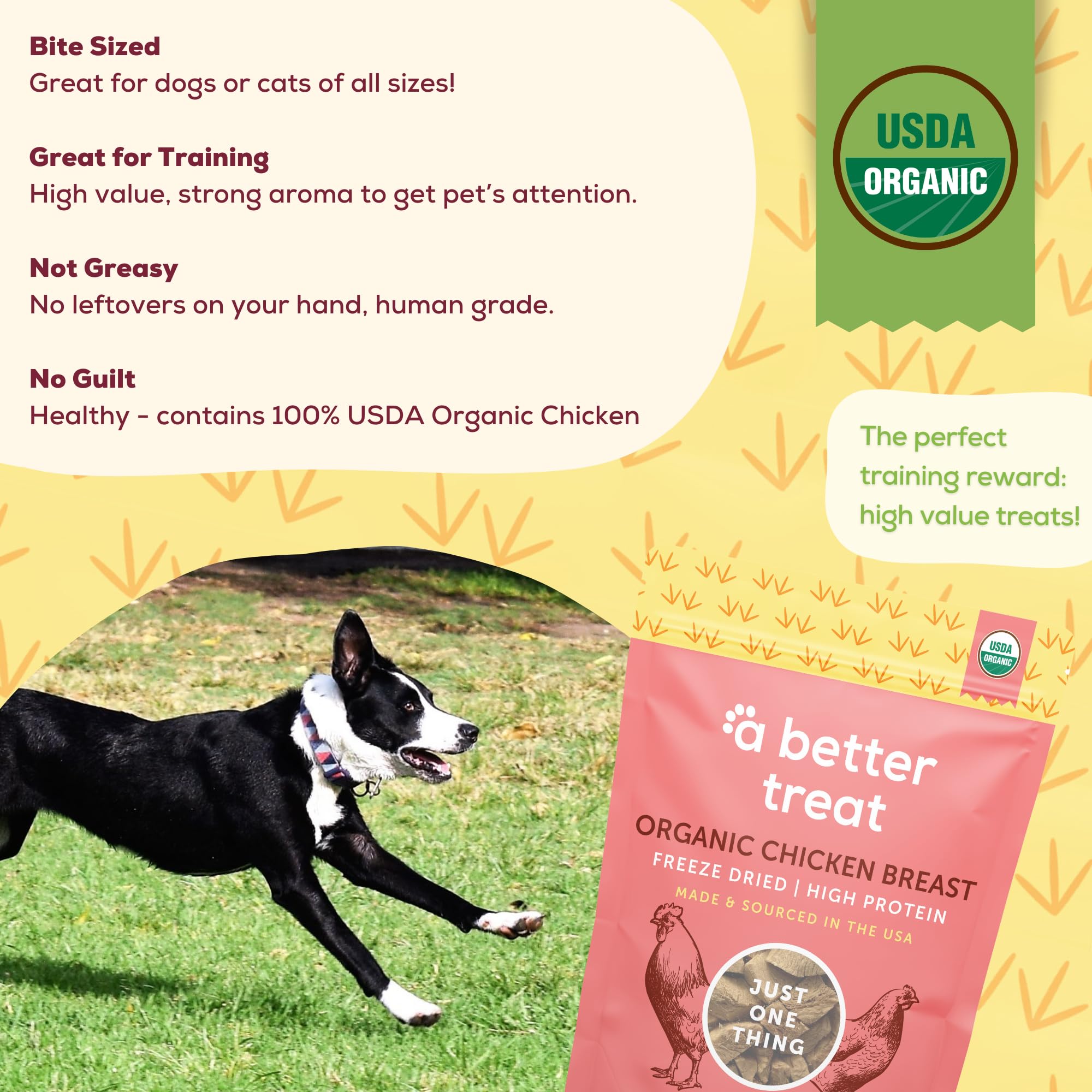 A Better Treat – Organic Freeze Dried Chicken Breast Dog Treats, Organic, Single Ingredient | Natural Healthy High Value | Gluten Free, Grain Free, High Protein, Diabetic Friendly | Made in The USA thumbnail 4