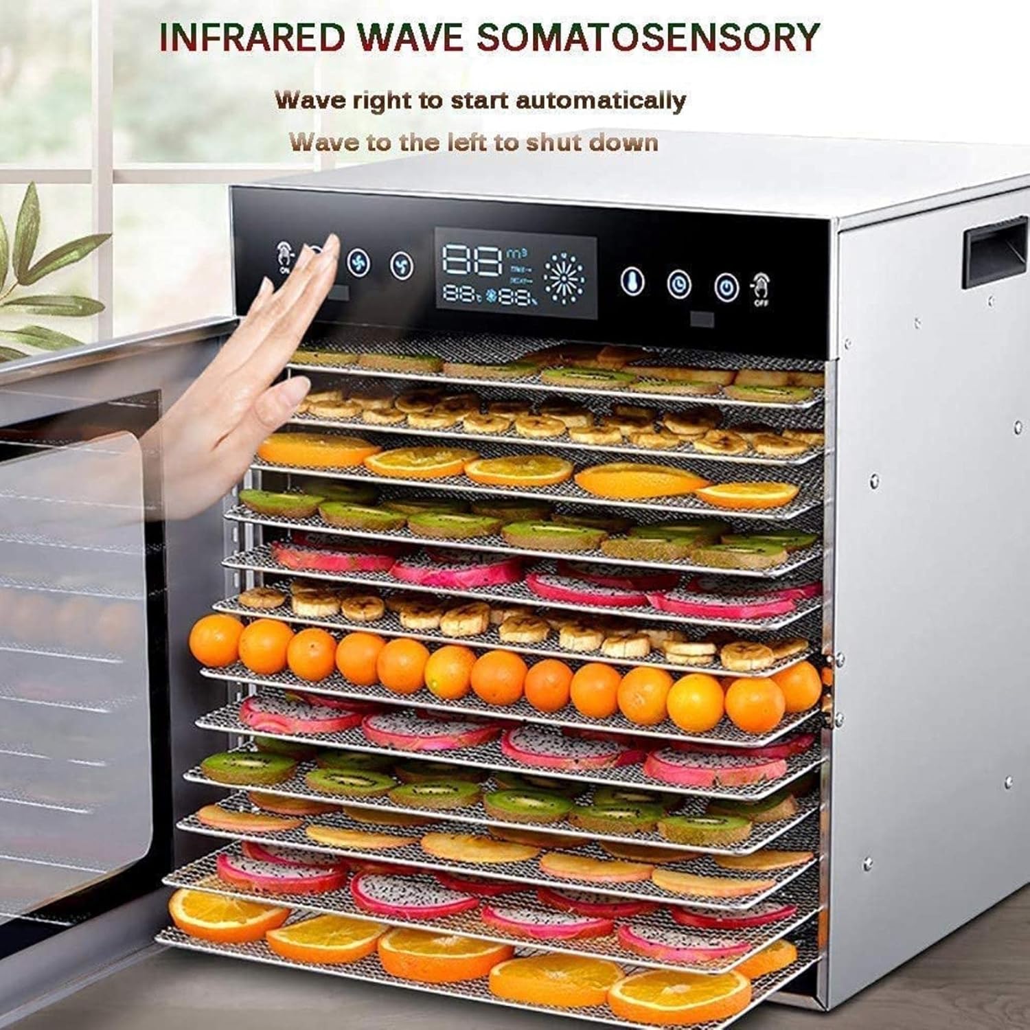 買収 食品脱水機業務用食品脱水機 簡単なセットアップ デジタル調整可能なタイマーと温度制御 ジャーキー ハーブ 肉 牛肉 果物 野菜の乾燥用乾燥機 過熱保護 Www Entreprendrecameroun Com