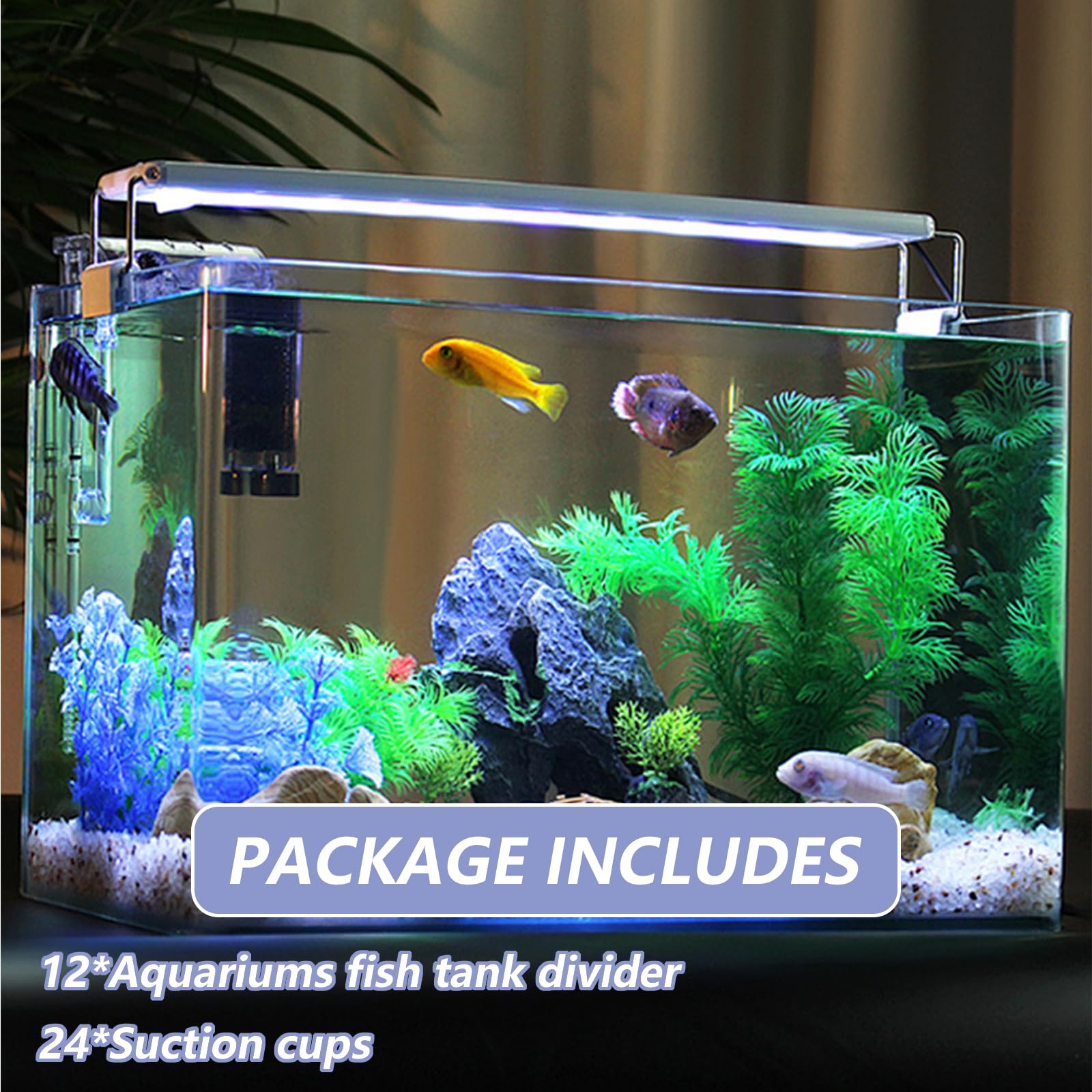DAJAVE 12 Stück Aquarium Trennwand, 30x15cm Aquariumgitter aus Kunststoff, Aquariumteiler für Isolation, Aquarium Isolation, DIY-Filtration und Aquascaping