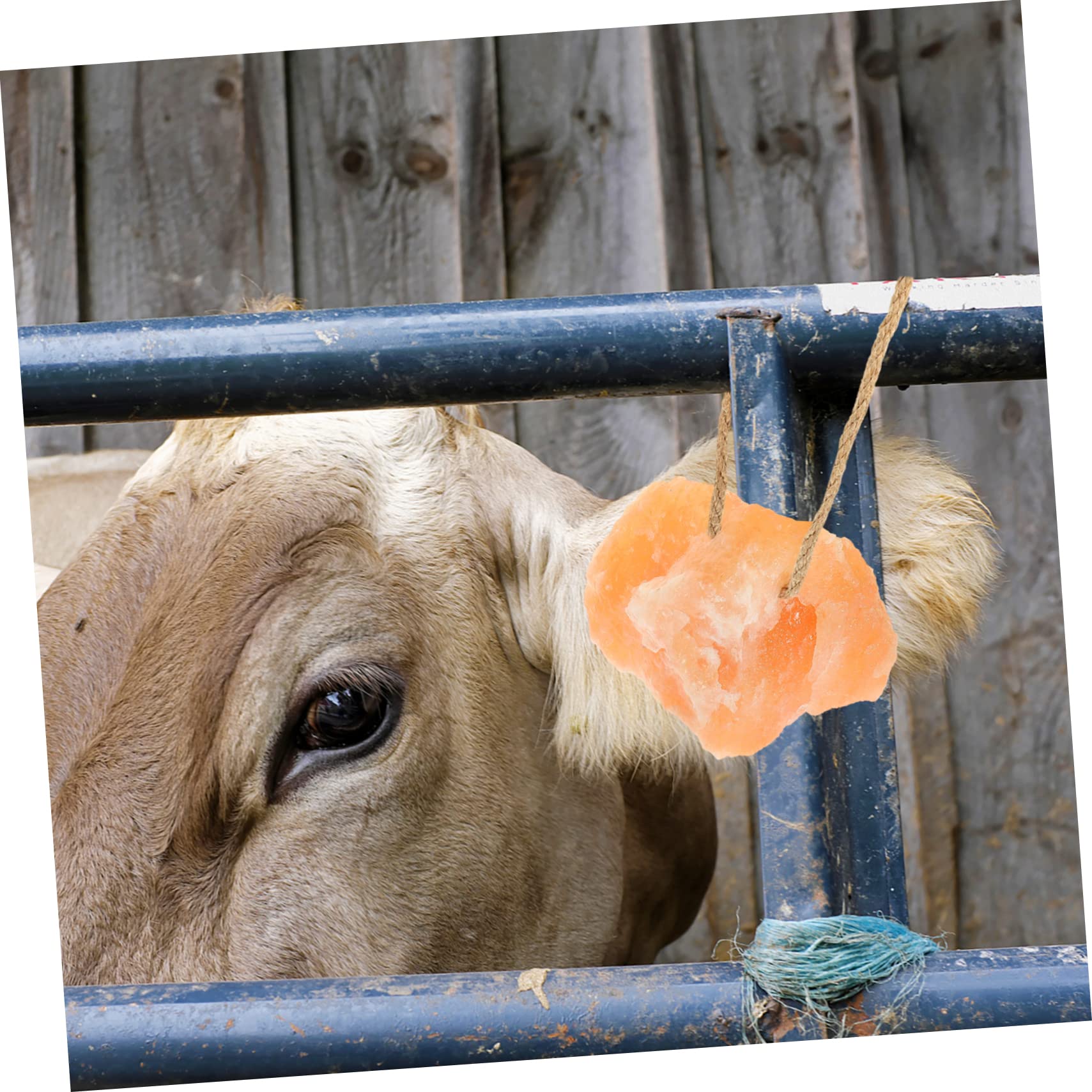 Blocco di Sale da Leccare per Bestiame Naturale 1 Pezzo | Lavorazione Fine, Facile da Sospendere, Solido, per Allevamento di Erbivori in Azienda Agricola