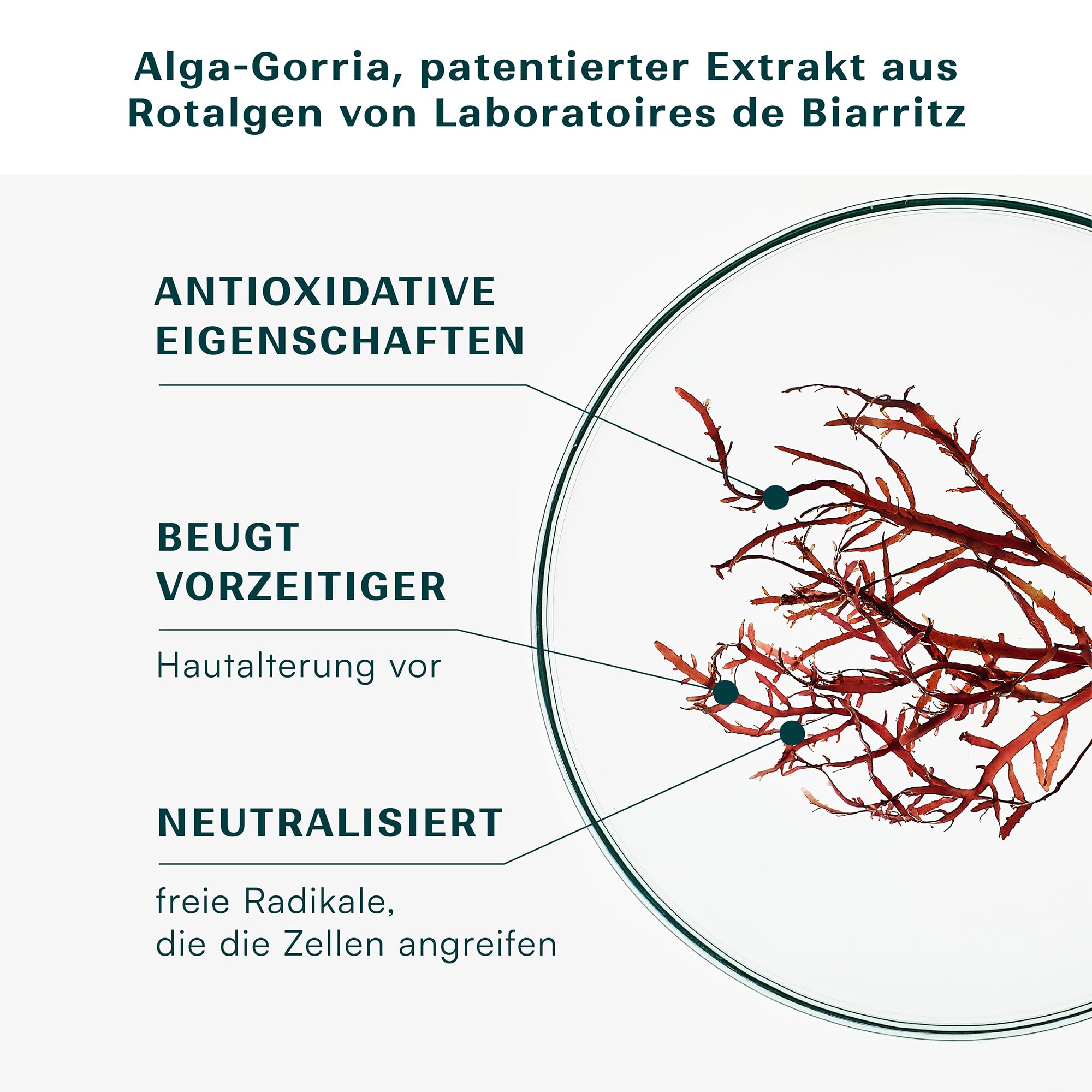 Laboratoires de Biarritz - Bio-Selbstbräunungstropfen - Eine schöne natürliche Bräune nach Wunsch - Gesicht und Körper - 20 ml