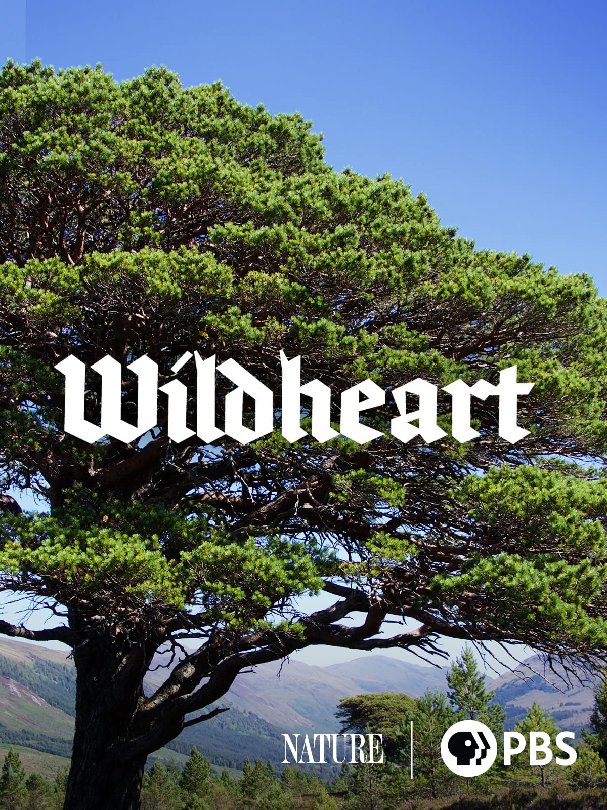 WildHeart