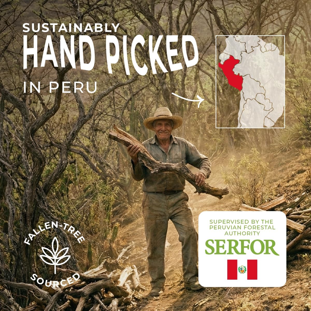 Palo Santo Premium Sticks 1 lb (454 gr) Bulk Smudging Wholesale High Resine Natural Certified from Peru (NOT Ecuador). Ethically Sustainably Harvested. Protection, Spiritual Cleansing - Image 6