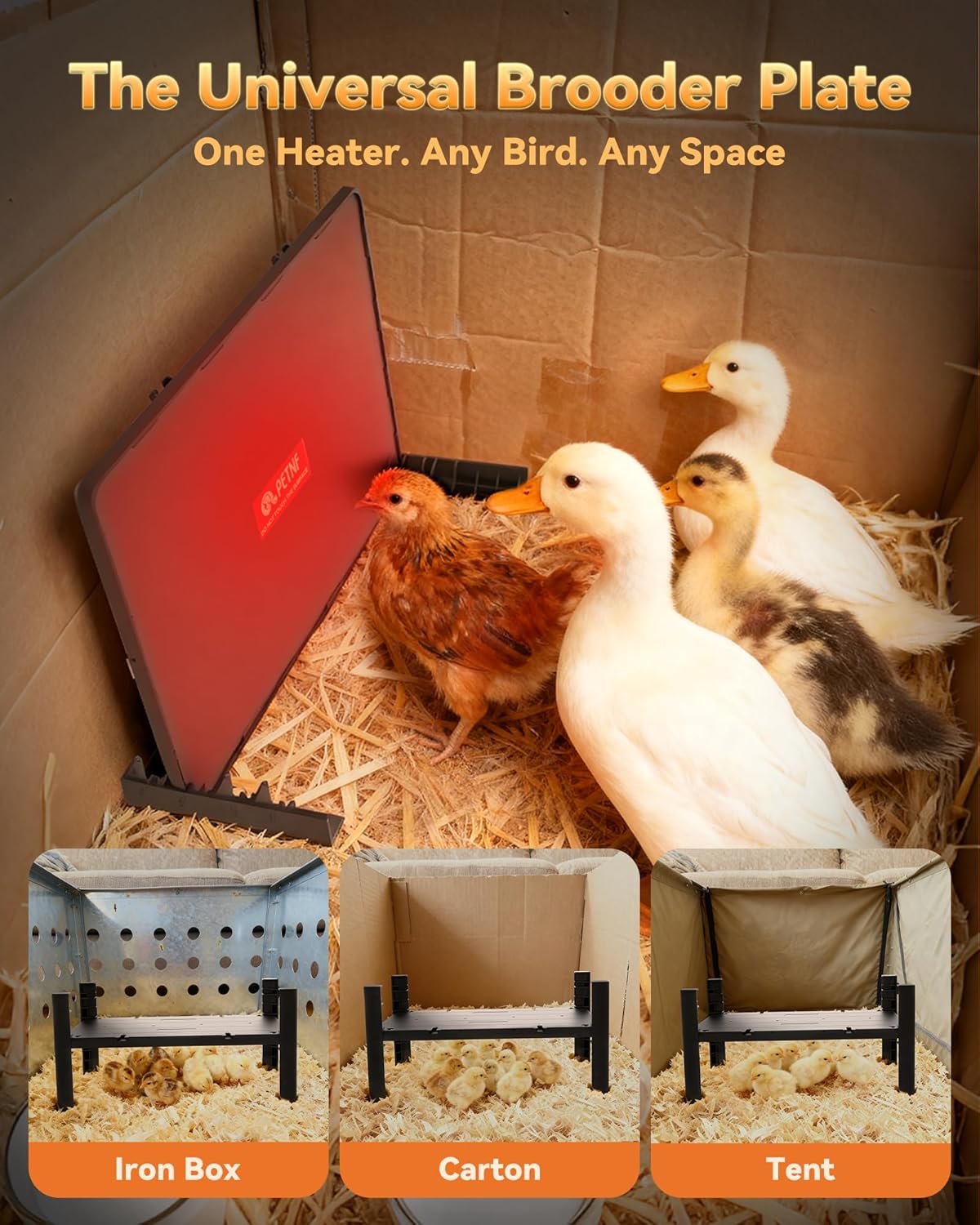 Image showing the PETNF Universal Brooder Plate used in various environments like an iron box, carton, and tent.