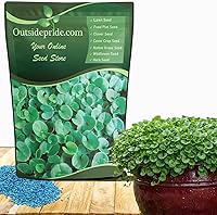 Vista 1 de Outsidepride Semillas de Dichondra Repens Perennes - 1 libra Semillas densas verdes de cobertura del suelo de bajo mantenimiento para plantar, ideal