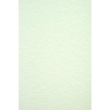 Folia 678 - Blocco pastello con 10 fogli di carta tonica e | WhichOne