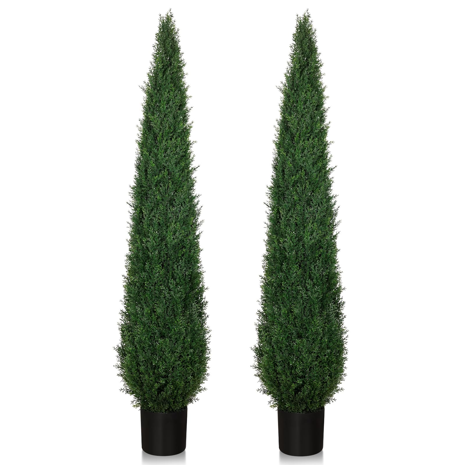MANASENLUSH 6ft Cedar Set