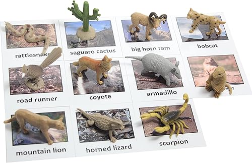 Tarjetas y figuras de animales del desierto Montessori. Nomenclatura Ciencia Trabajo