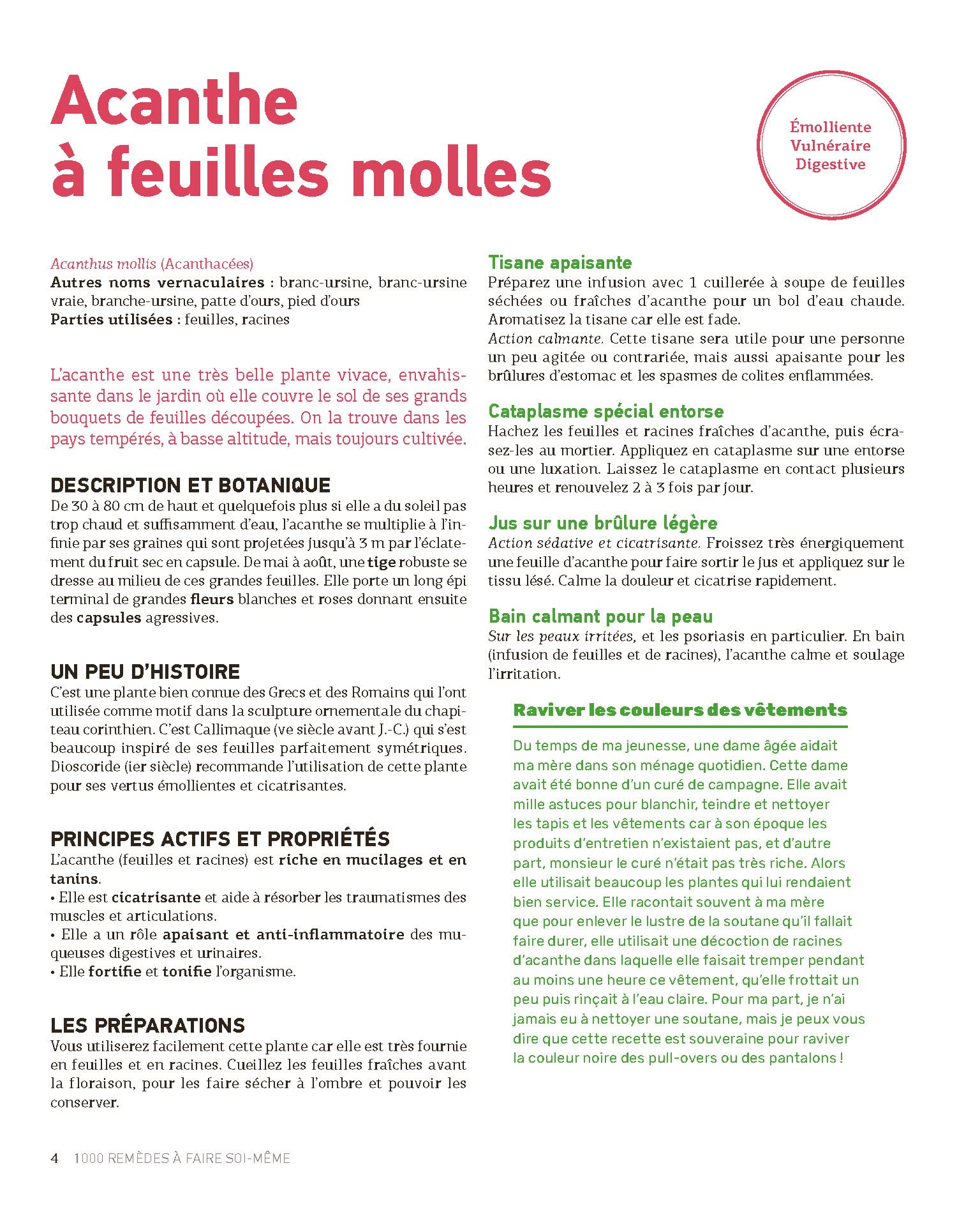 Le guide Terre Vivante 1000 remèdes à faire soi-même: Teintures mères - Macérats - Baumes- Lotions - Sirops - Tisanes...