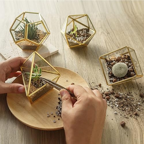 Miniatura 2 de Mini recipiente geométrico de vidrio para terrario, juego de 4, juego de terrario negro, maceta de cristal, maceta de flores, maceta de cristal,