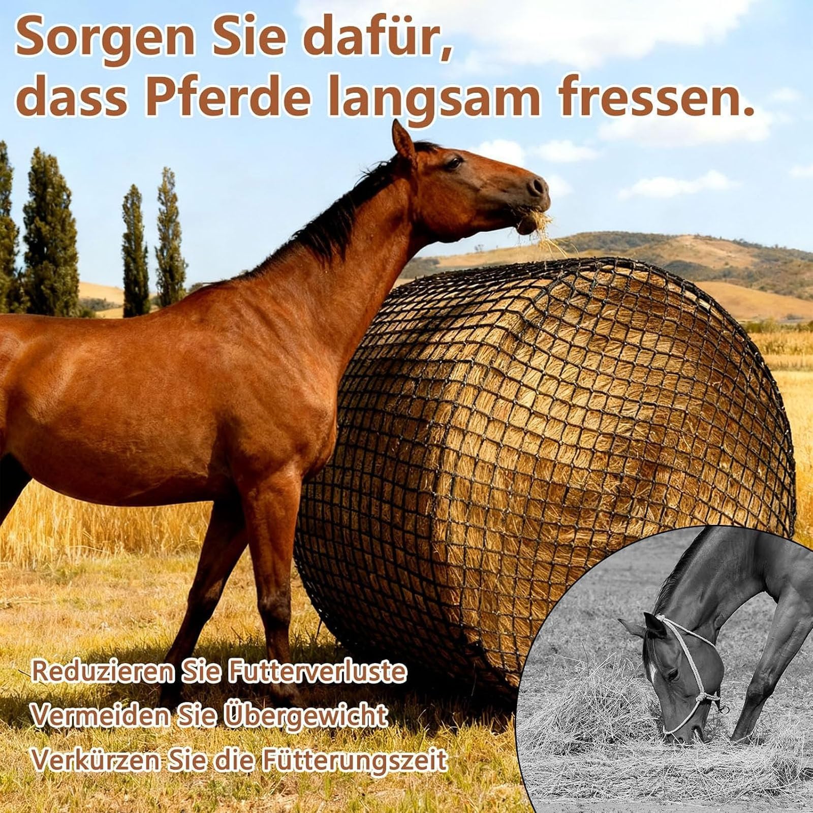 Siatka na siano w belach 5x5 stóp dla koni, do powolnego karmienia