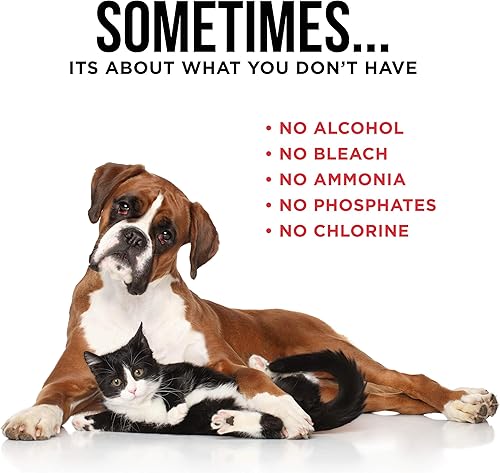 Miniatura 7 de Natural Rapport Aerosol para manchas y olores de mascotas, el único removedor de manchas y olores de mascotas que necesitas - Limpiador de manchas