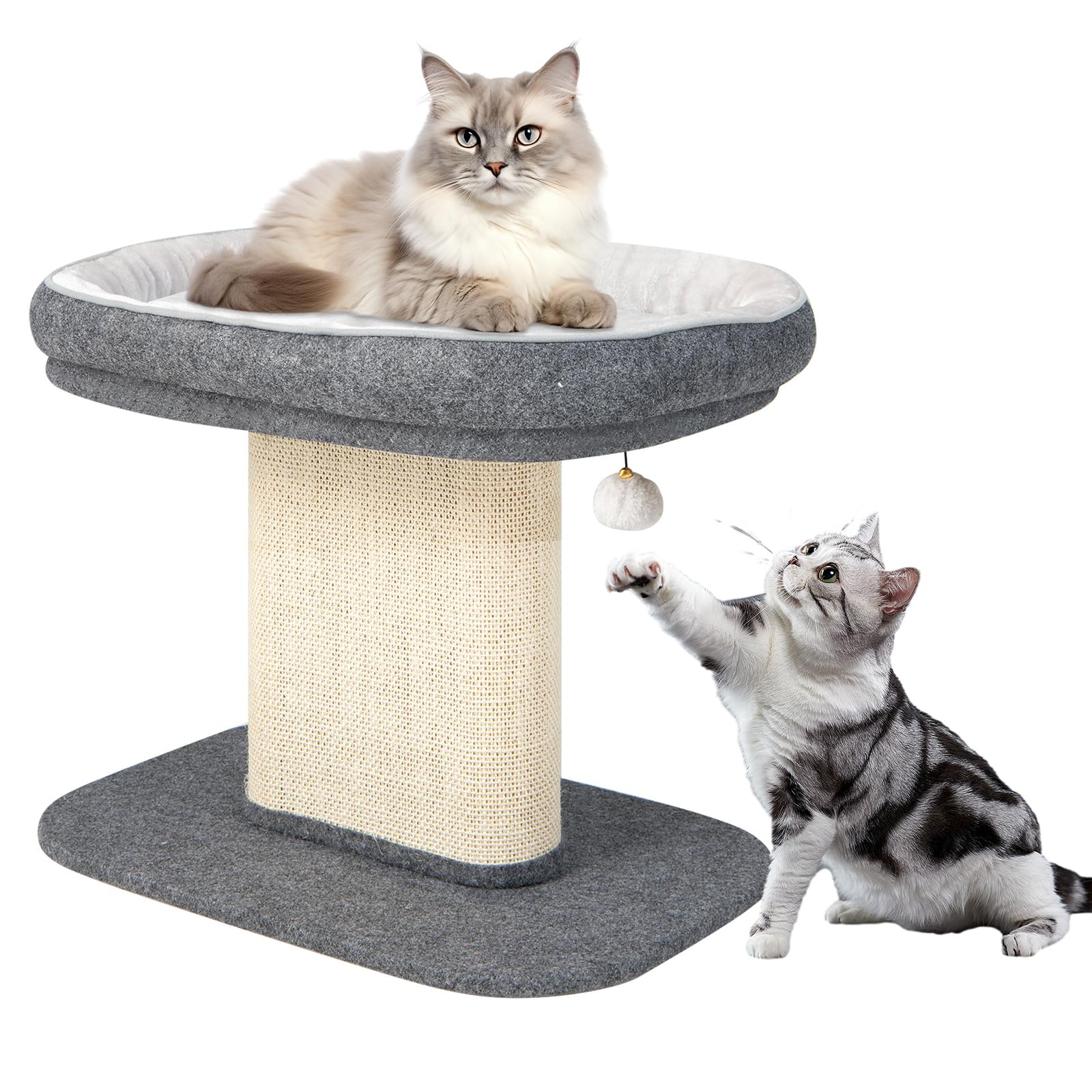 GYMAX Kratzbaum 50 cm hoch, Kletterbaum mit weicher Plüschsitzfläche, Katzenbaum mit Sisal-Kratzsäule & Ball, Katzenkratzbaum aus Holz, Aktivitätsbaum, kleine Katzenmöbel, Spielbaum (Grau)
