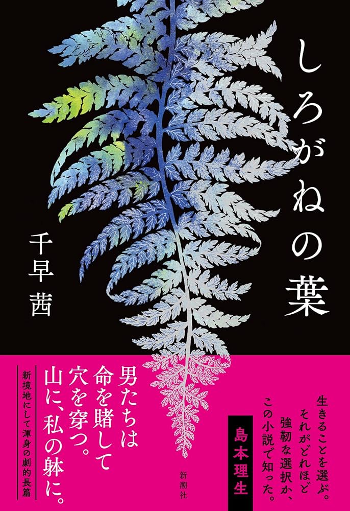 ヒマラヤ＜あかね書房＞【ヒマラヤ名著全集】１０冊＜全１２巻＝第４巻・１２巻欠け＞ Amazon.co.jp: しろがねの葉 : 千早 茜: 本