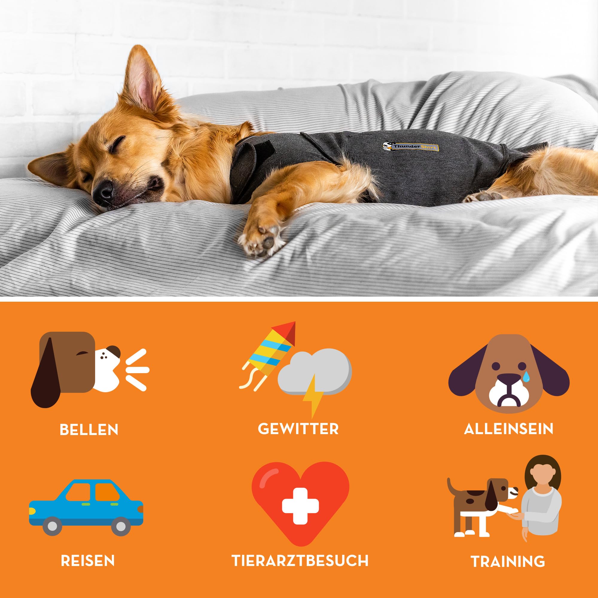 Petlife Thundershirt Hundemantel, Größe S, grau