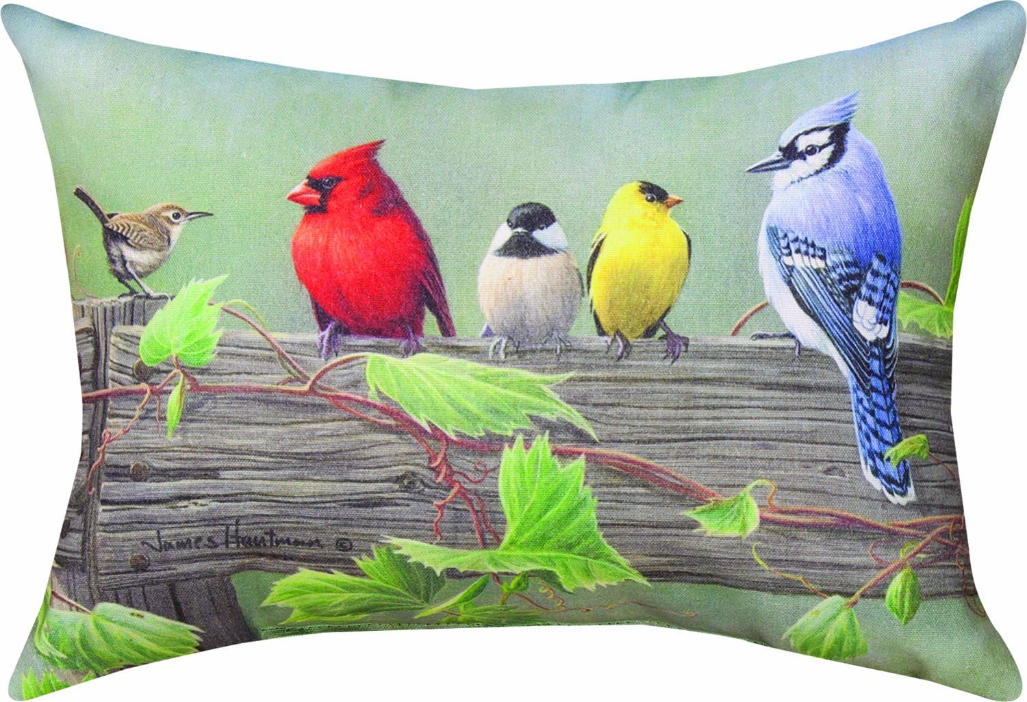 Manual Climaweave Indoor/Outdoor Decorative Throw Pillow, 18 X 13-Inch, Flocked Together Songbirds