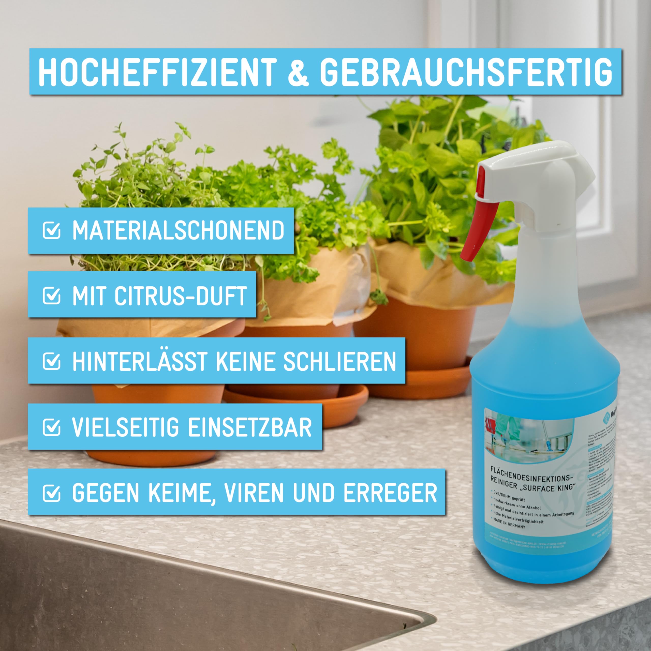 Desinfektionsreiniger | gebrauchsfertig | 10 L mit Hahn