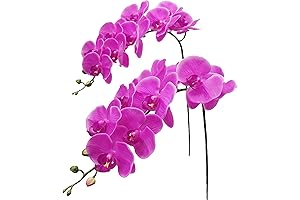 2PCS Rose Red Artificial Phalaenopsis Orchid Branches