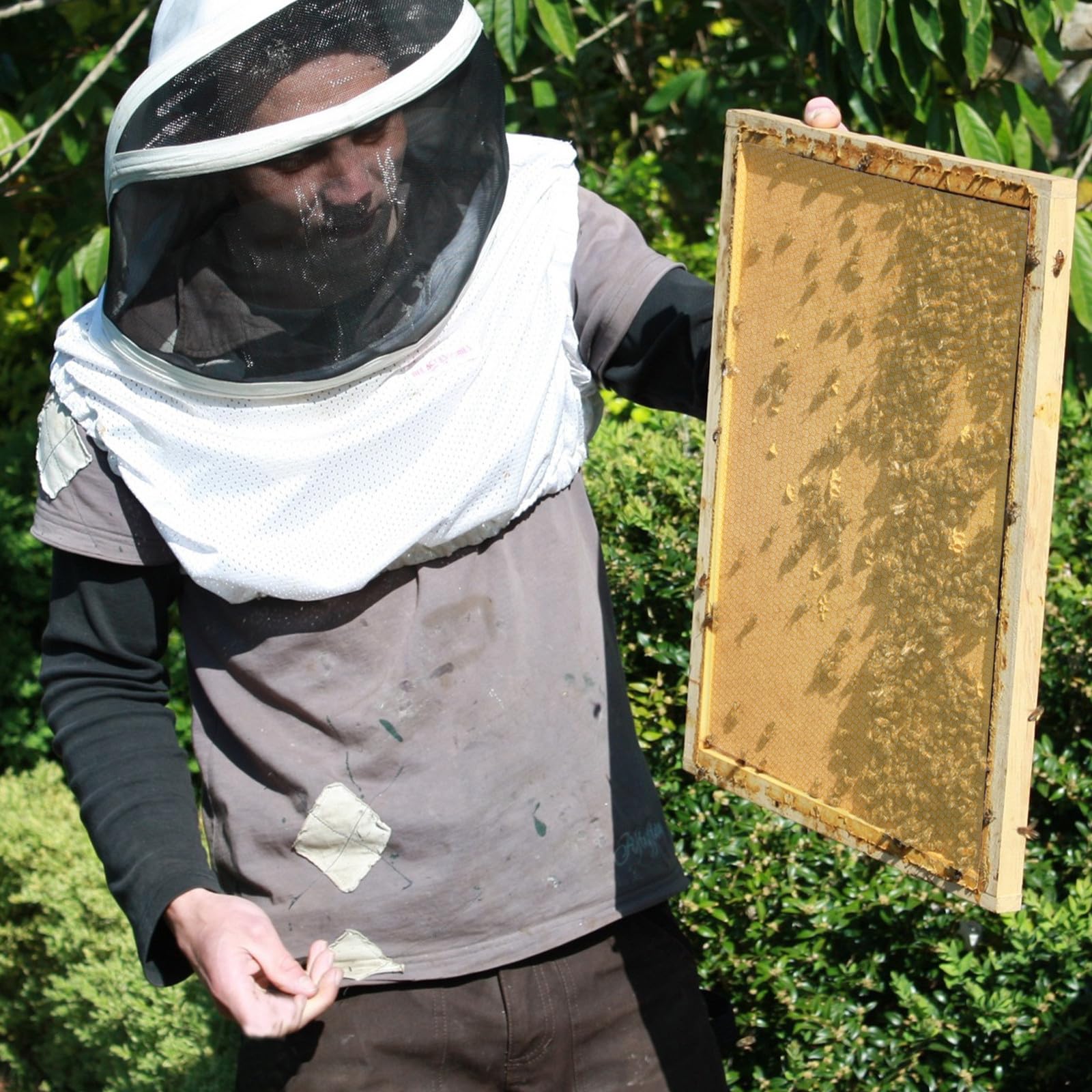 30 Pezzi Foglio di Base in Cera D'api per Arnia, Foglio a Struttura Esagonale, Giallo, per Api e Apicoltori, per Costruzione del Favo