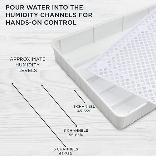 Miniatura 6 de Jumbl Incubadora de huevos transparente máquina de incubación digital totalmente automática de aves de corral control de temperatura y volteador