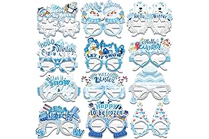 Winter Wonderland Snow Frozen Photo Booth Props, 24-Pack Snowflake Selfie Surprise