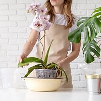GOTVUGE Orchidea Cserépszett 5 db Átlátszó Lyukacsos Cserép Orchideához 7
