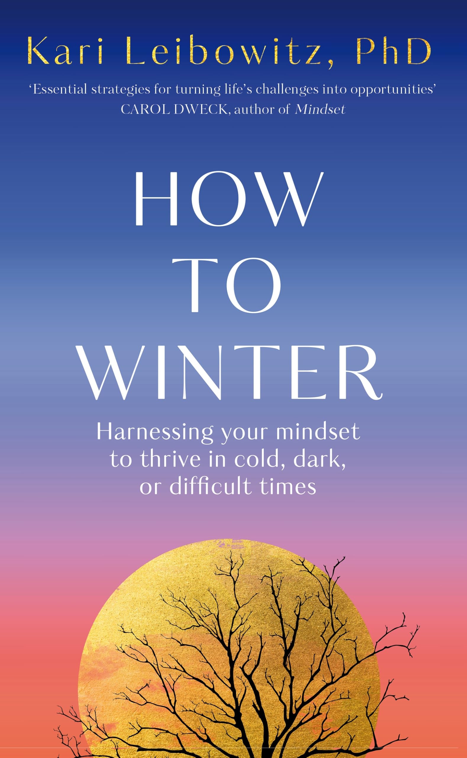 How to Winter: Harnessing Your Mindset to Thrive In Cold, Dark or Difficult Times