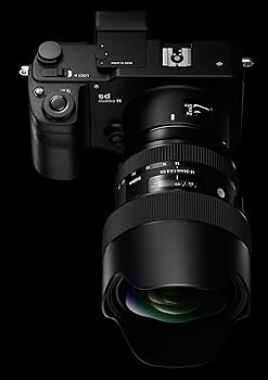 SIGMA - [中古] シグマ 14-24mm F2.8 DG HSM 超広角ズームレンズ (NIKON Fマウント) 212551sigma-1424-f28-f [非常に良い(A)] 楽天市場】[中古] シグマ 14-24mm F2.8 DG HSM 超広角ズーム
