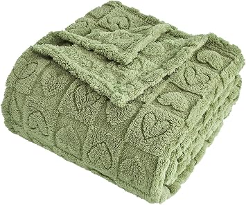 FY FIBER HOUSE Throw Blankets with Heart Checkered,Soft Warm Blankets for Lover Mom Father Gifts,Washable Lightweight Fuzzy Blanket for Couch Sofa Bed Office All SeasonSage Green,50"x60"