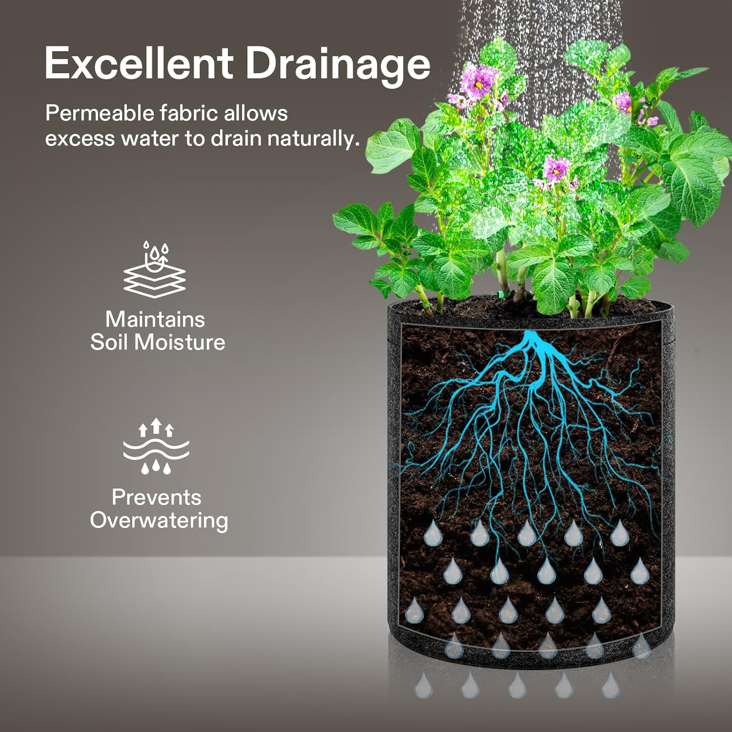 VIVOSUN 5-Pack 2 Gallon Grow Bags, Fabric Pots with Self-Adhesion Sides for Transplanting - Image 5