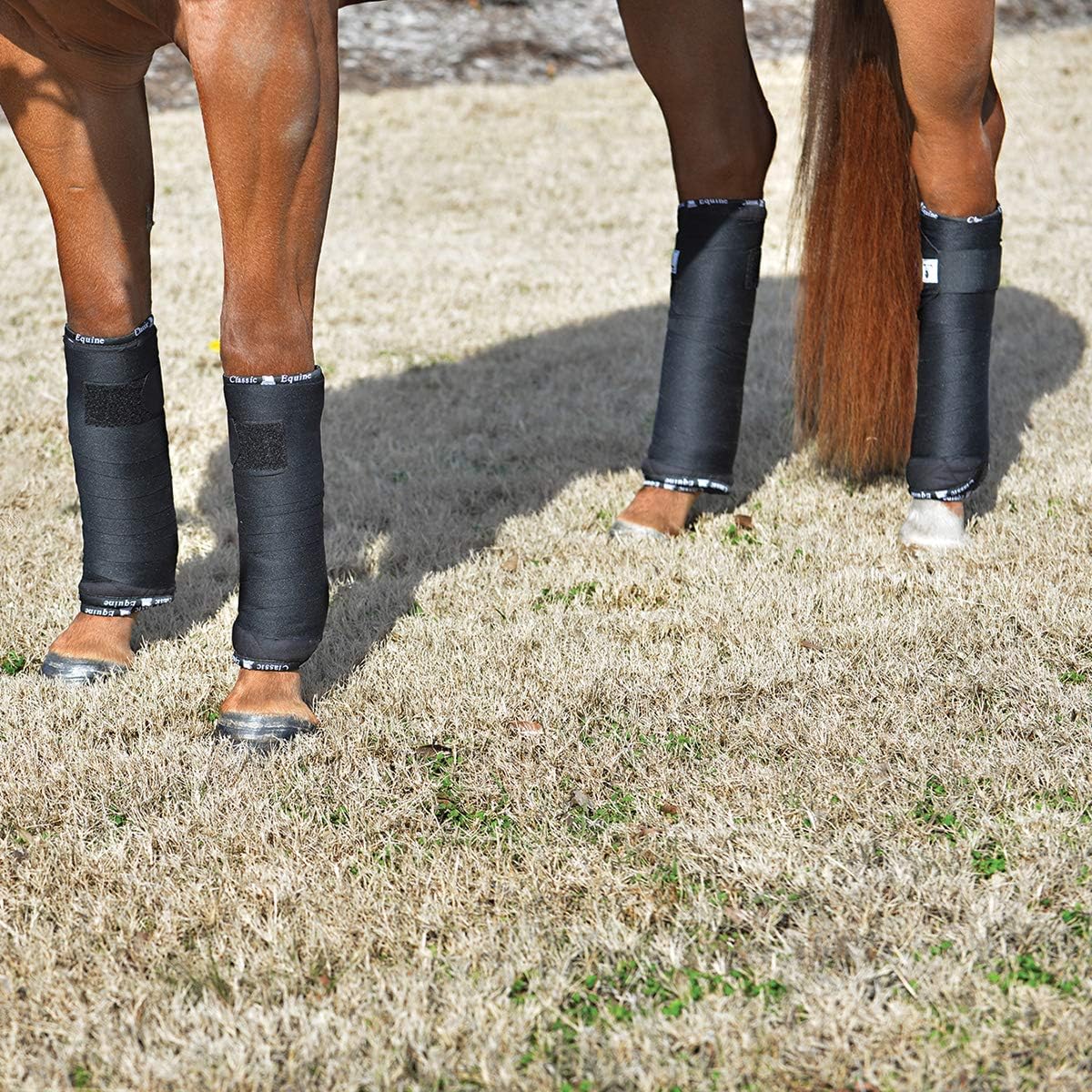 Classic Equine Quilted Standing Wraps : Pet Supplies