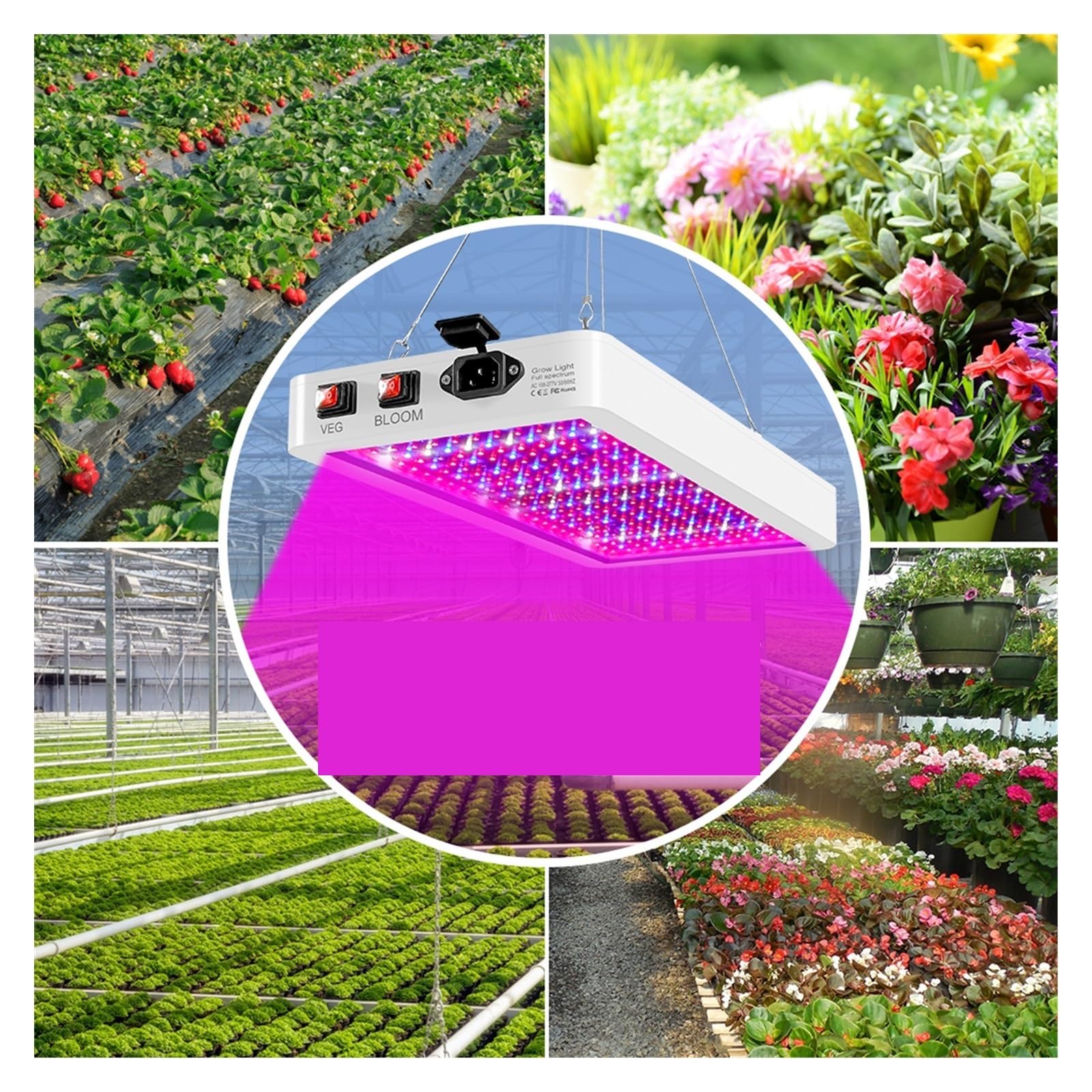 Coltiva la luce Lampada a spettro completo a LED for piante Illuminazione Lampadina for crescita Piantine for interni Tenda for crescita di fiori per serra(2000W 312leds)