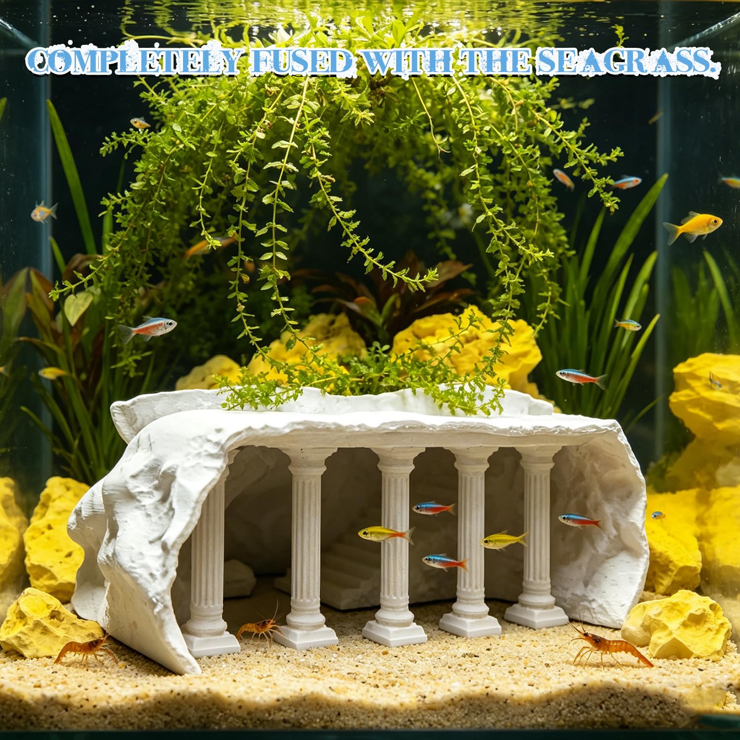 Cachette Aquarium Effet Bois – Tunnel Aquarium Souterrain 3D pour Wels & Crevettes, Grotte Multi-Chambres pour Poissons, Décoration Aquarium Naturelle pour Eau Douce (S)