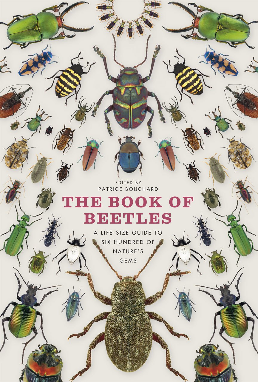 The Book of Beetles: A Life-Size Guide to Six Hundred of Nature's Gems (Life-Size Guides to the Best of Nature) Hardcover – December 17, 2014