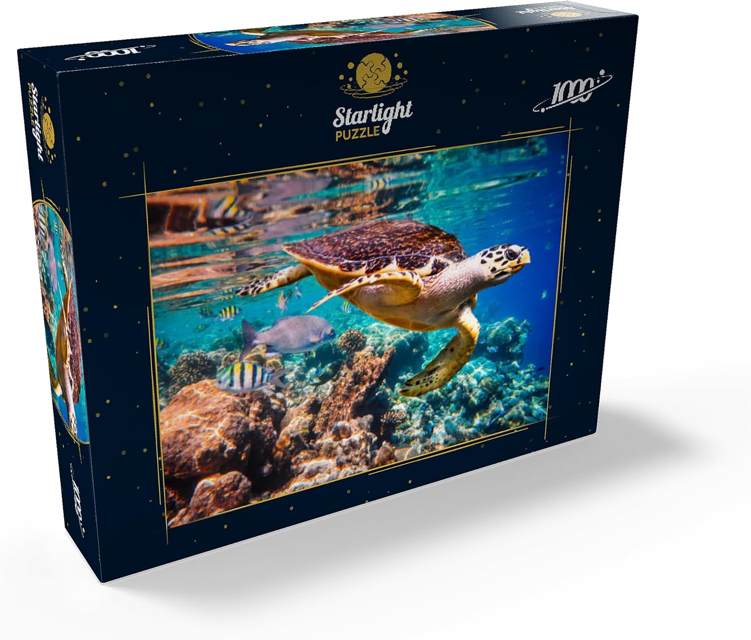 MyPuzzle Hawksbill Turtle Maldives - Premium 1000 Piece Jigsaw Puzzle for Adults