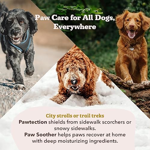 Miniatura 7 de Natural Dog Company Lata para chupete de patas bálsamo natural orgánico y curativo para mascotas chupete de piel de perro para patas secas