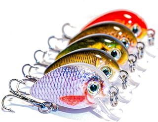Crankbait Forelle Set, 2.5cm / 1.6g mit Köderbox