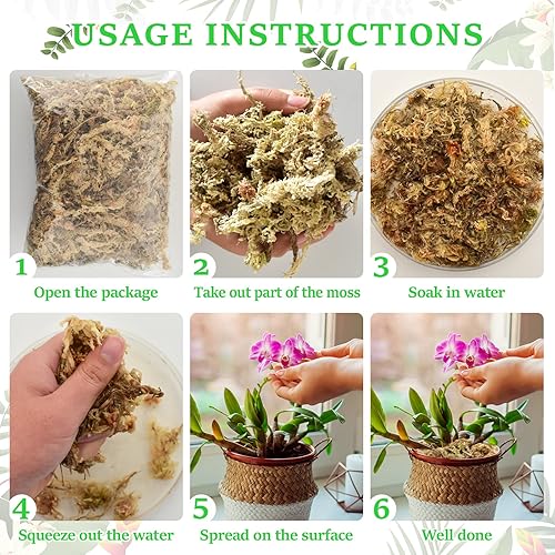 Miniatura 5 de Legigo Mezcla de musgo esfagnum de alta calidad de 1.1 libras, plantas carnívoras naturales secas con musgo, esfagnum de fibra larga, mediana para