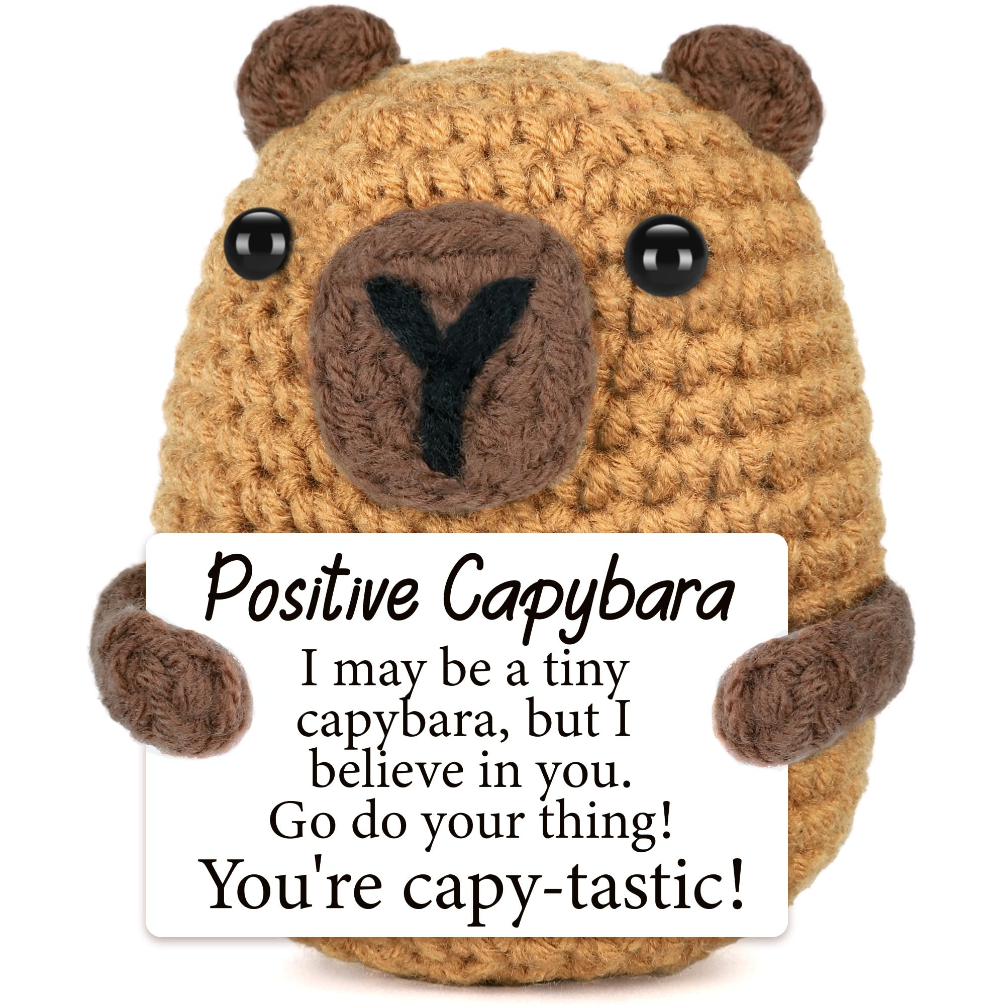 Mini Positive Capybara Birthday Gifts for Men Boy Back to School Gifts for Him Son Teen Emotional Cheer Up Support Gift Cute Stuff Things Handmade Crochet Animal Capybara Christmas White Elephant Gift
