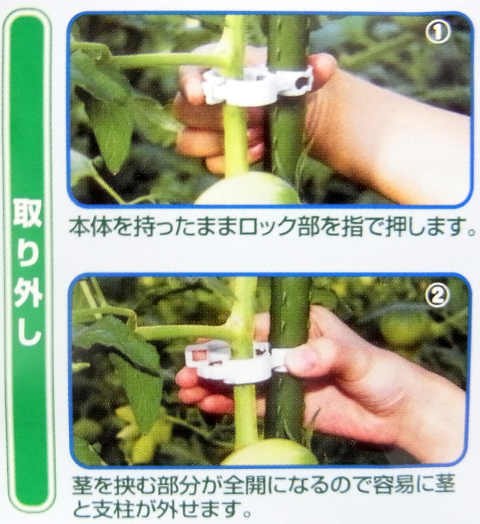 Amazon | シーム しちゅうキャッチ 支柱径20ミリ用 24ケ入 | 支柱