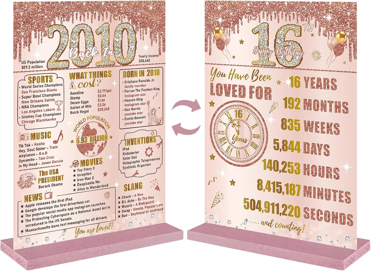 Bumqviy 16th Birthday Decorations for Girls, Back in 2010 Table Sign
