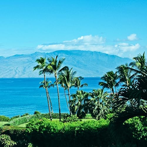 Miniatura 3 de Tuscany Candle Hawaiian Breeze - Vela perfumada en tarro de larga duración, 18 onzas